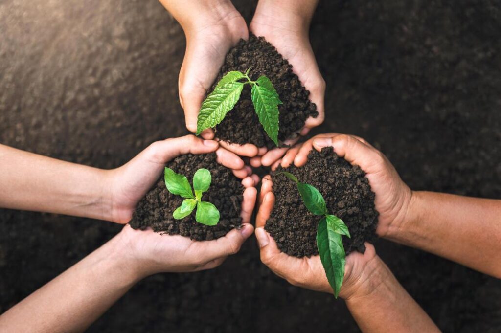 three hand protection and caring small tree on soil eco environment concept free photo